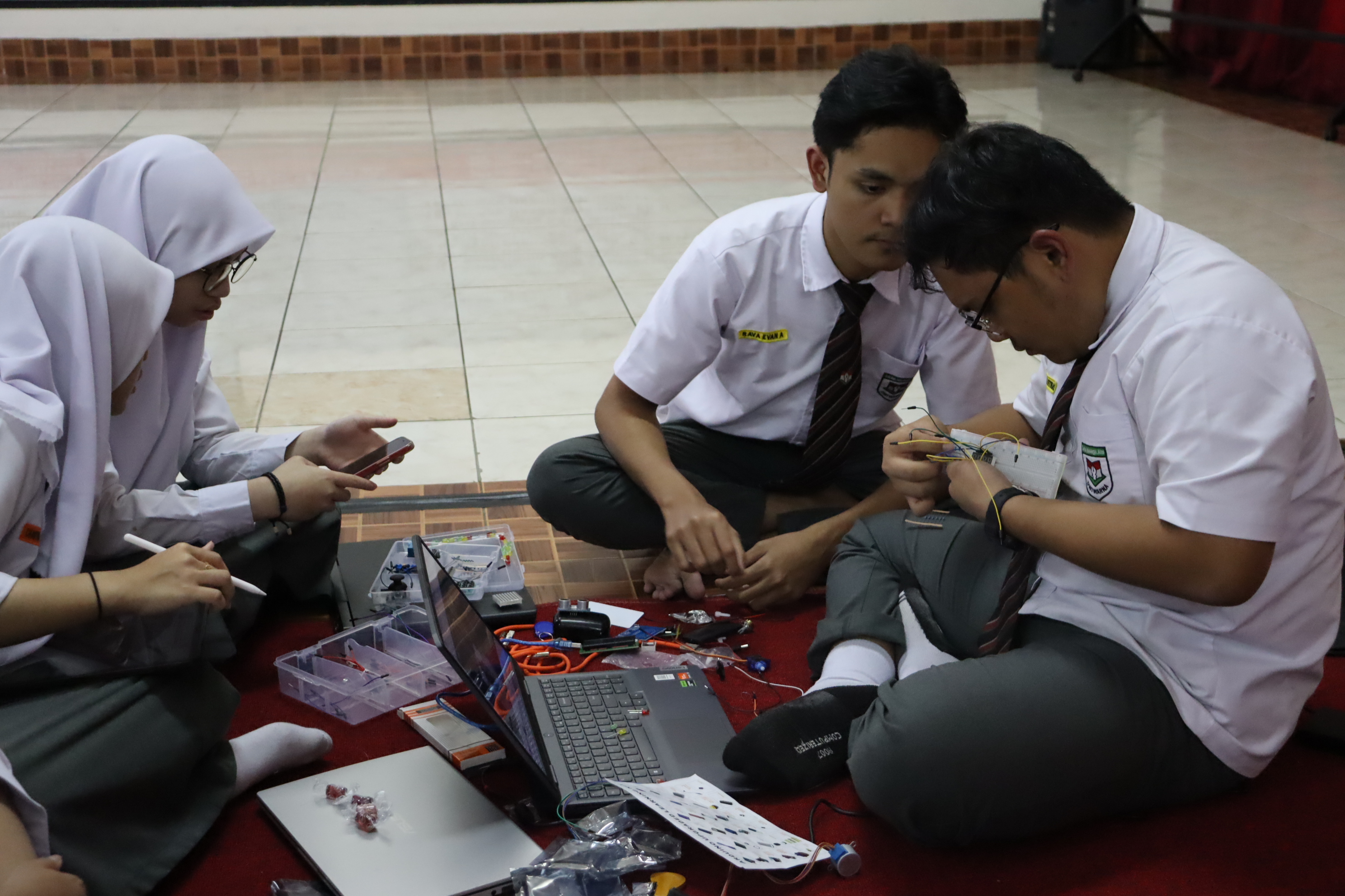 Program STEM